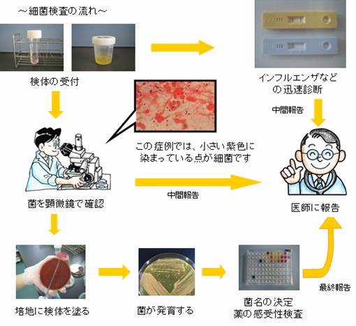 検体検査について ｜ 公益財団法人 甲南会 甲南医療センター（旧）甲南病院