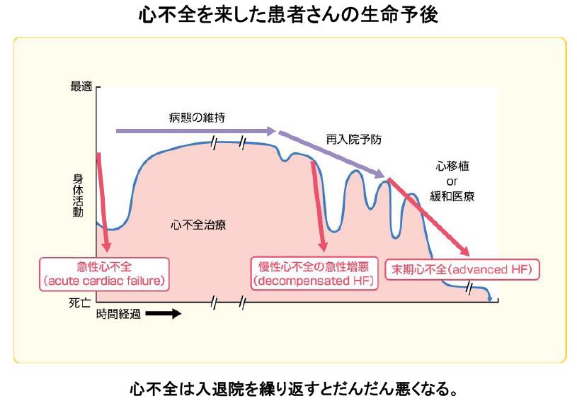 心不全に新しい治療薬が加わりました 公益財団法人 甲南会 甲南医療センター 旧 甲南病院