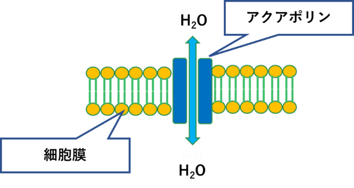 医療援助を求めている
